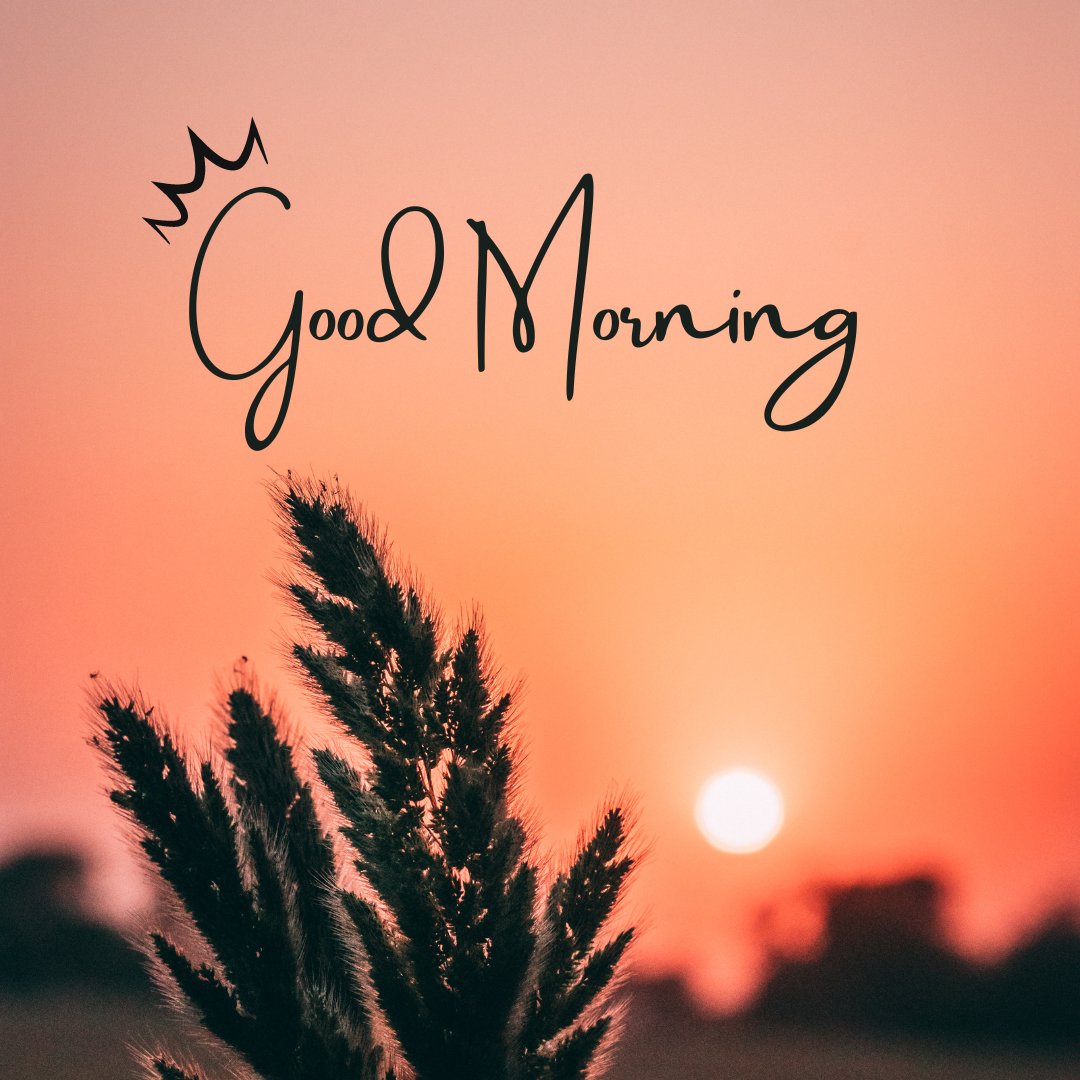 ColtensList's tweet photo. ☕ 🌞

#coltenslist #dfa #definedfeearrangements #mrarrested #lawyer #healthy #attorney #wecare #digitalnomad #lawschool #centex #attorneyadvertising #litigation #criminallaw #civillaw https://t.co/UsWxCFV5nJ