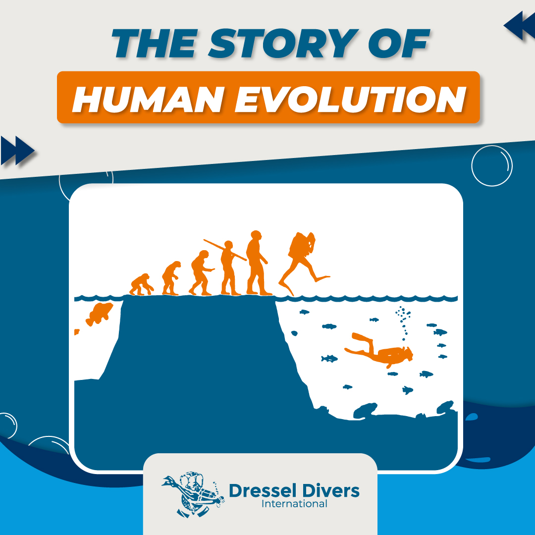 DRESSELDIVERS's tweet photo. I'm only human 👍😃
#scuba #scubadiving #scubadive #scubadiver #diving #dive #diver #diving #divingdeep #scubagirl #joke #divejoke #meme #divememe #scubameme #travel #vacation #holidays #divetravel #scubatravel #dresseldivers https://t.co/N3JGzC8tll