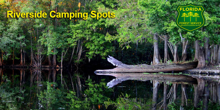 FriendsofFLForests tweet media