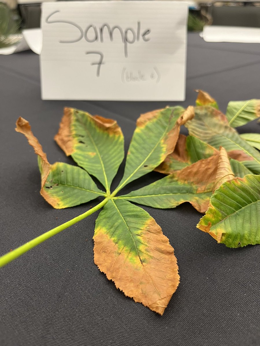 Taylor Klass tweet media