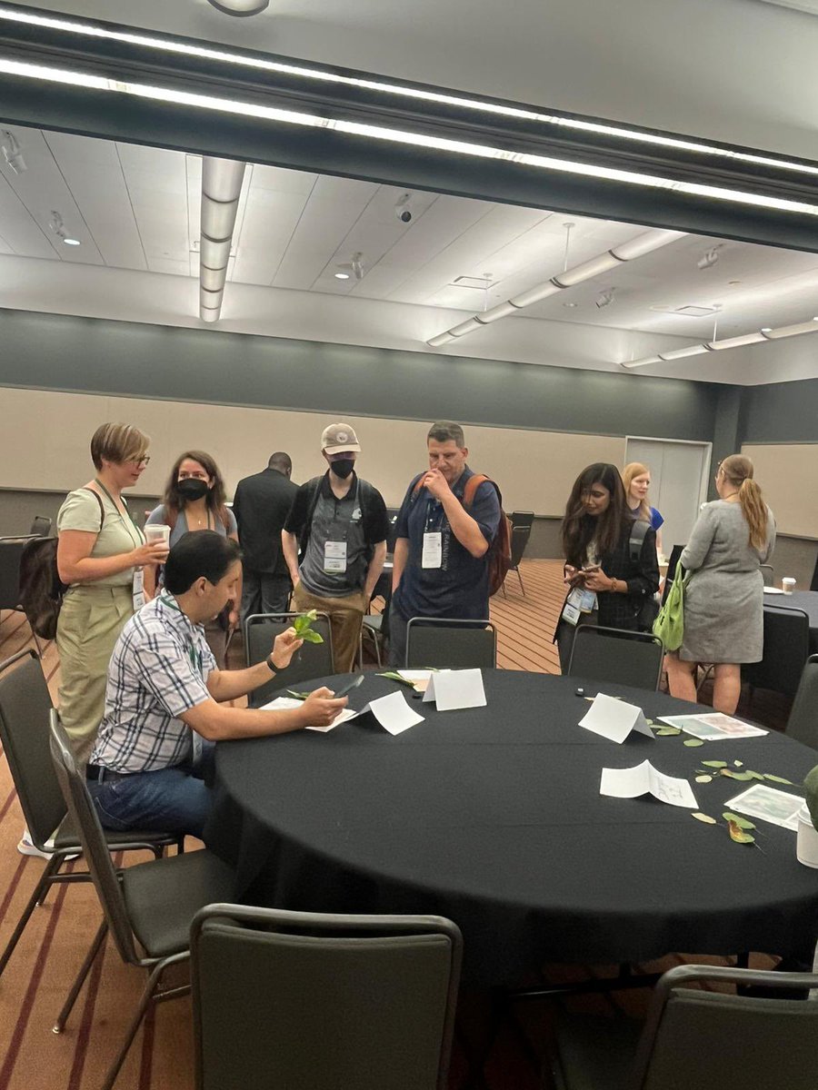 Taylor Klass (@taylor_klass) on Twitter photo The first session of the Plant Diagnostic Bowl has officially been completed! Great job everyone!🔬 🦠 🍄🧫🌱 <a href="/KensyDR/">Kensy Rodriguez</a> <a href="/EFealko/">Dr. Erica Fealko</a> <a href="/Temmykeji/">Nightingale</a> <a href="/_Oluwakemisola_/">Oluwakemisola Olofintila</a> @Mary_Akinyuwa <a href="/shivreet_kaur/">Shivreet Kaur</a> The first session of the Plant Diagnostic Bowl has officially been completed! Great job everyone!🔬 🦠 🍄🧫🌱 <a href="/KensyDR/">Kensy Rodriguez</a> <a href="/EFealko/">Dr. Erica Fealko</a> <a href="/Temmykeji/">Nightingale</a> <a href="/_Oluwakemisola_/">Oluwakemisola Olofintila</a> @Mary_Akinyuwa <a href="/shivreet_kaur/">Shivreet Kaur</a>
