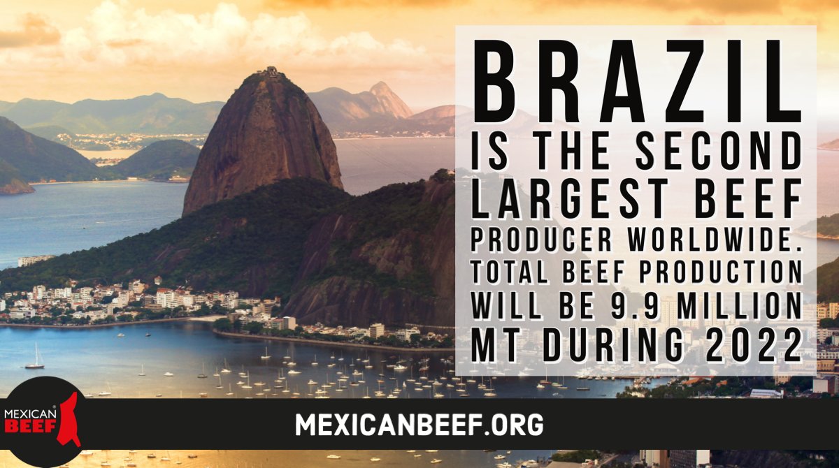 MexcanBeef's tweet photo. Brasil es el segundo mayor productor de carne de res a nivel mundial. Producción total de carne bovina será de 9.9 millones de TM durante 2022 #trade #beeftrade #meattrade #comercio #comercioexterior https://t.co/YTbXONpX9J