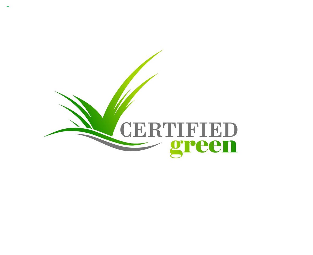 RachelRutherfo's tweet image. Best Tree Logo Designs with unlimited revision
#Treelogo