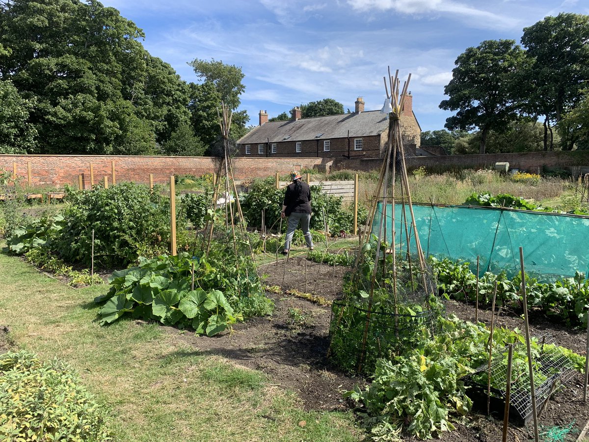 El Hombre Invisible tweet media