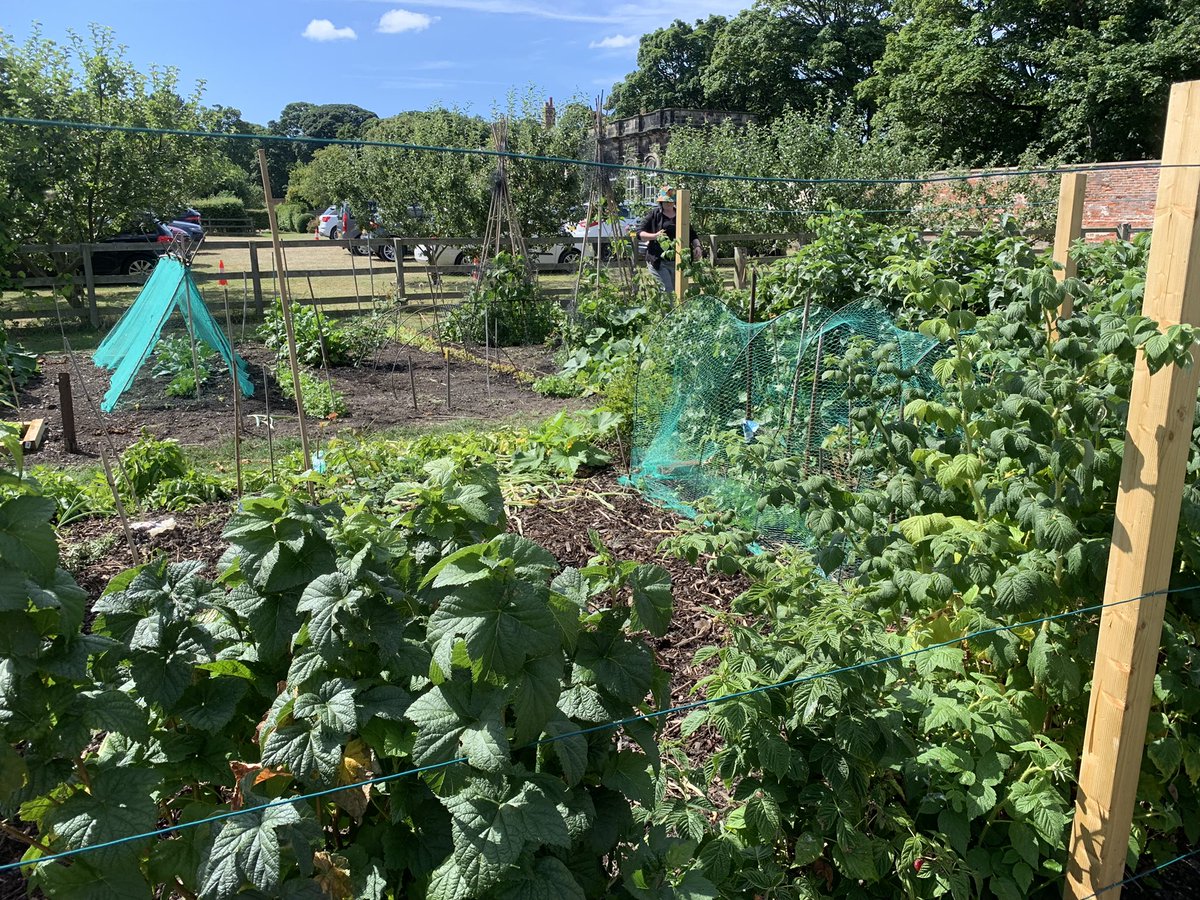 El Hombre Invisible tweet media