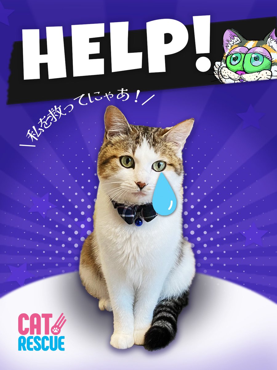 今日は #世界猫の日 だってご存知ですか？😸 猫を愛する気持ちは万国共通な中、世界には助けが必要な猫がたくさんいます。CatRescueでぜひ猫を一緒に救っていきましょう😺 NFTを買う、Discord に参加する、Twitterをフォローする、どれでもご自身にできることから始めてみませんか？
#世界猫の日2022