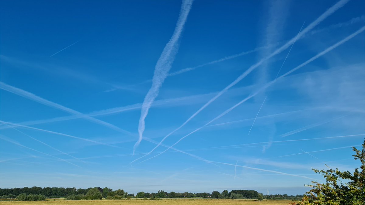maxschurink's tweet photo. De nieuwe werkweek vanochtend in alle vroegte wandelend gestart. Heel bijzonder zo'n moment midden in de zomer, zelfs de slingers waren in de lucht opgehangen ... https://t.co/xK38f7KKFp