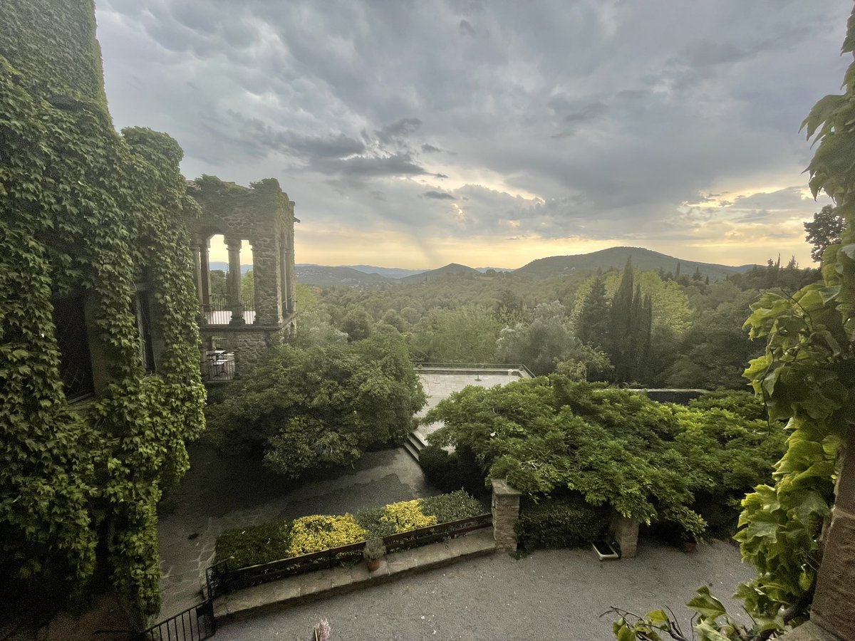 Dan Whelan tweet media