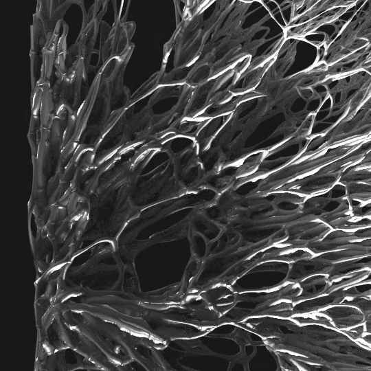 cadmonkey tweet media