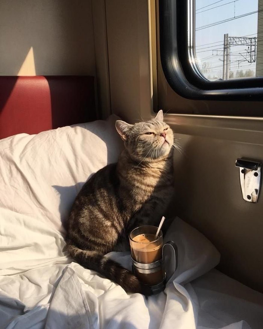 counter_culture's tweet photo. Monday mood 🖤 https://t.co/vKv9UuAgfU