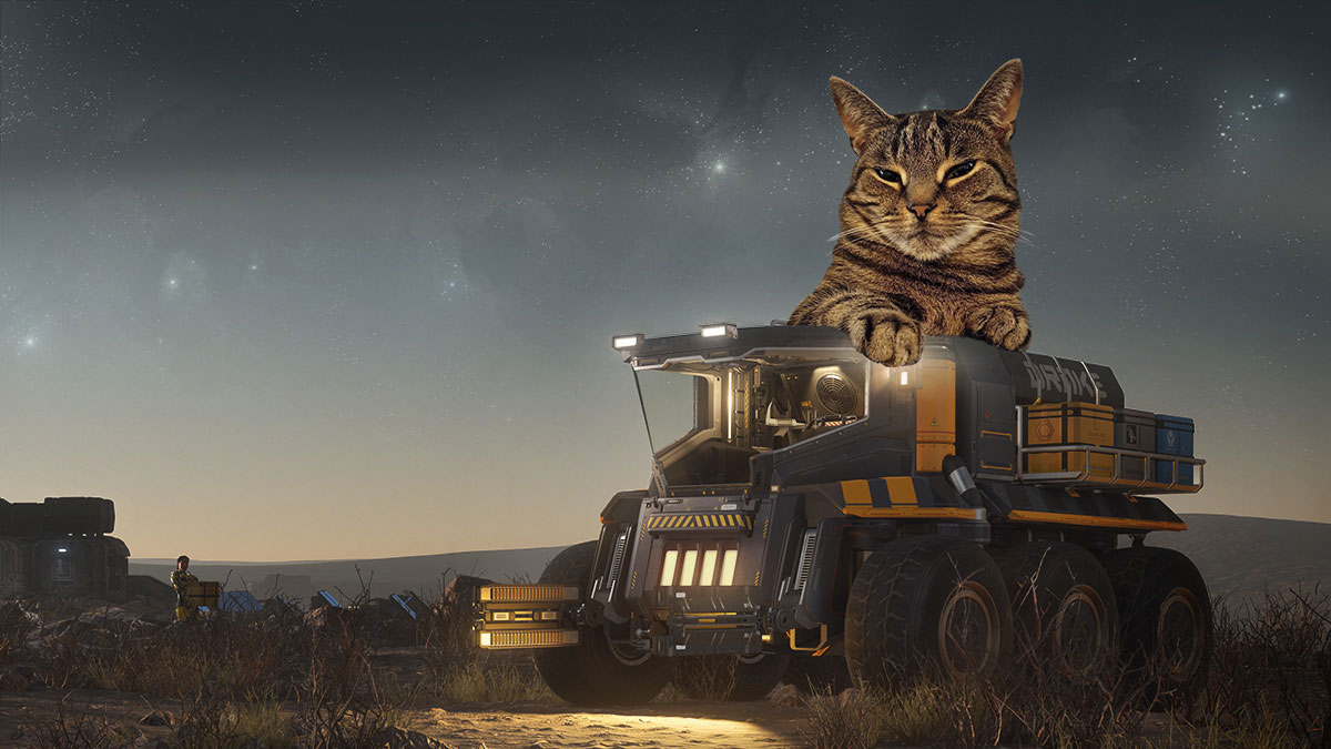 CloudImperium's tweet photo. Our meownagers would like to wish all you cool cats and kittens out there, a stellar #InternationalCatDay! https://t.co/YVC4jaF60E