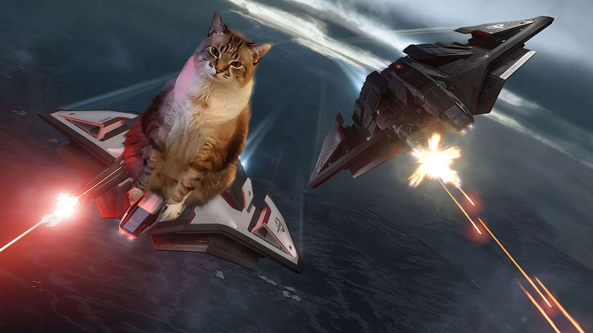CloudImperium's tweet photo. Our meownagers would like to wish all you cool cats and kittens out there, a stellar #InternationalCatDay! https://t.co/YVC4jaF60E