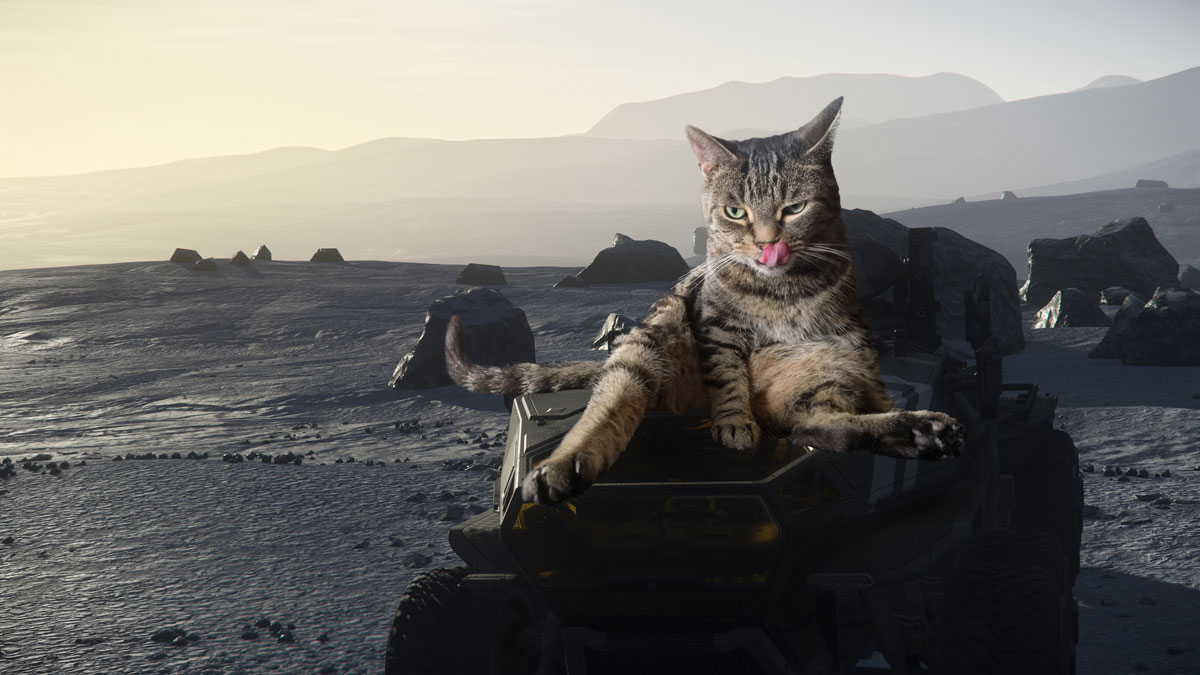 CloudImperium's tweet photo. Our meownagers would like to wish all you cool cats and kittens out there, a stellar #InternationalCatDay! https://t.co/YVC4jaF60E