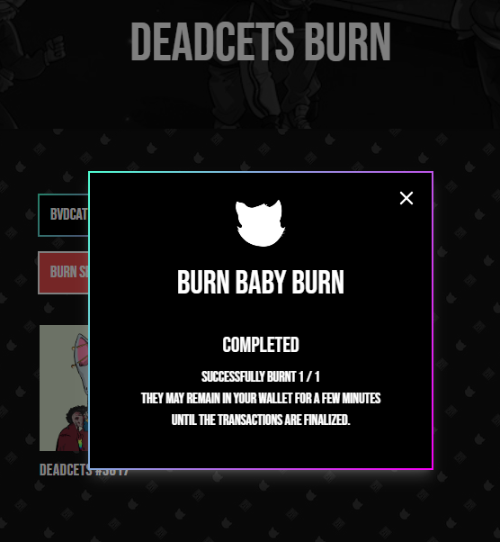 heyson25's tweet photo. Burn Baby Burnπ₯
@BVDCAT_
#deadcets #bvdcats #Solana #solanaprojects https://t.co/nPX5400yEo