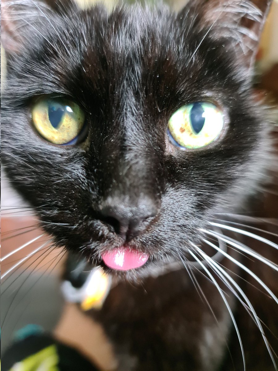 Social Ali tweet media