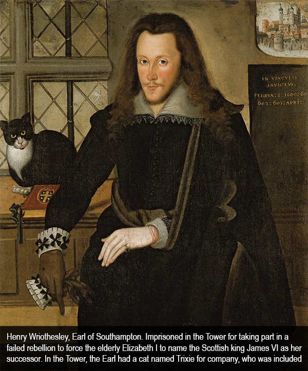 PhilippaGBooks's tweet photo. Today is #WorldCatDay. To celebrate, here's a selection of cat pictures you might not have seen before...

More at this link:
https://t.co/FzphEN3giI https://t.co/u7ownoD3fH