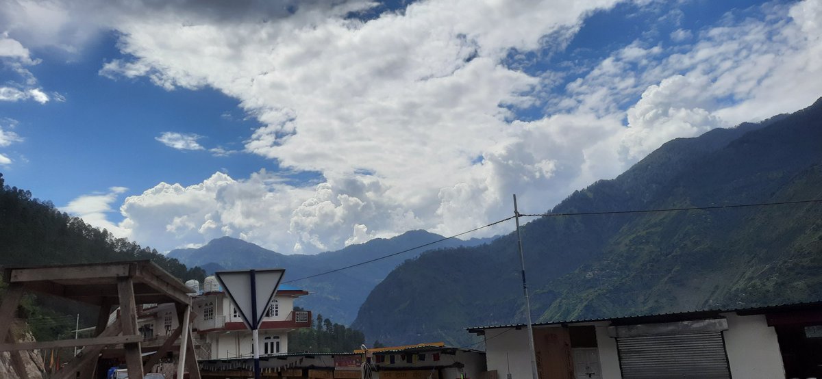 mehh_studio tweet media