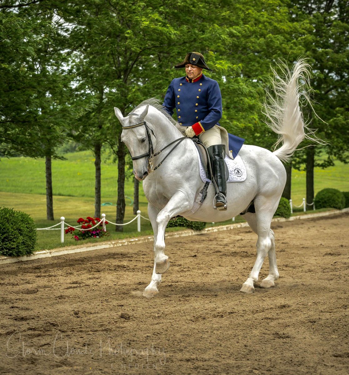 lhedien's tweet photo. The #TempleSmith #dancing #Lippizaner #horses!🐴 #Wadsworth #Illinois #Horsephotography #stallion #equine #lippizan #beautiful #photography #nikonUSA #z9 #thephotohour #yourshot_world #photooftheday #zcreators @stormcloudsphotography @lhedien #nikonoutdoors https://t.co/GzDVfn5WJo