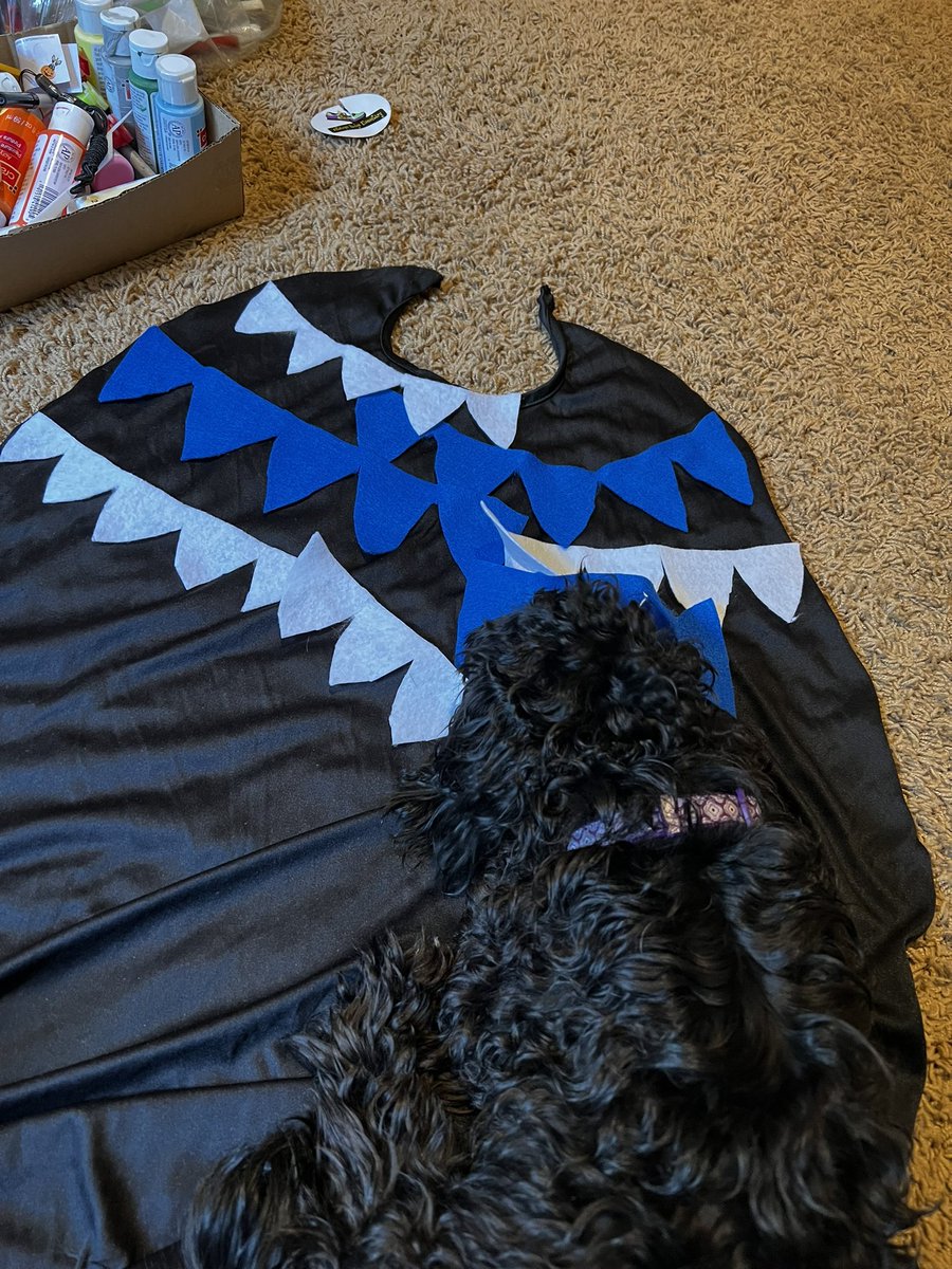 K_Abernethy's tweet photo. @Finarda @GISH Yep! My puppy caused me similar confusion and delay 😂 https://t.co/fQ1Xwd7OOx