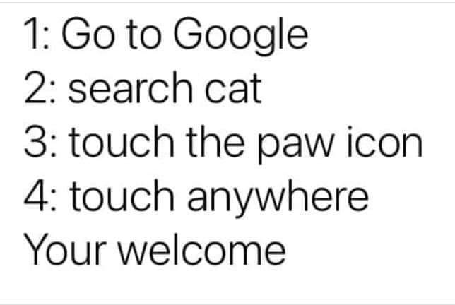 Also 👇 volume up when you tap the paw