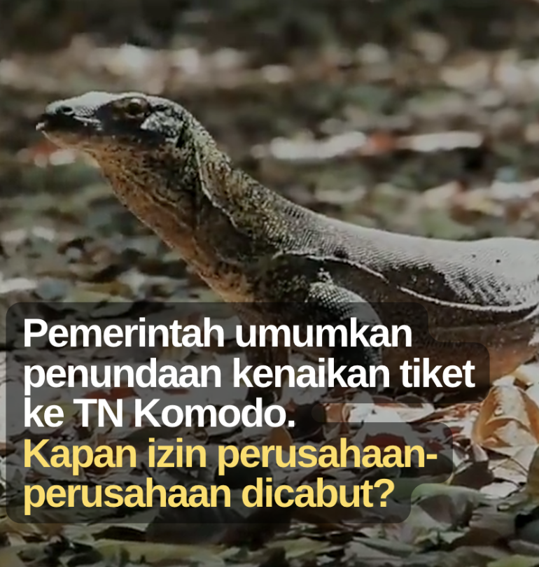 KawanBaikKomodo's tweet photo. Setelah ditentang warga, Pemerintah umumkan penundaan kenaikan tiket ke TN Komodo mjd 3,75 juta.
Kapan izin perusahaan-perusahaan dicabut? #SelamatkanTamanNasionalKomodo https://t.co/3S0oMDpZD3
