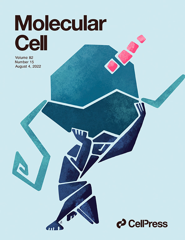 Nice few weeks on planet smORFs - @s_heesch and colleagues call for the community to come together (nature.com/articles/s4158…), our atlas of translation in humans (cell.com/molecular-cell…) and now a beautiful cover image from <a href="/Ele_Adami/">EleonoraA</a>