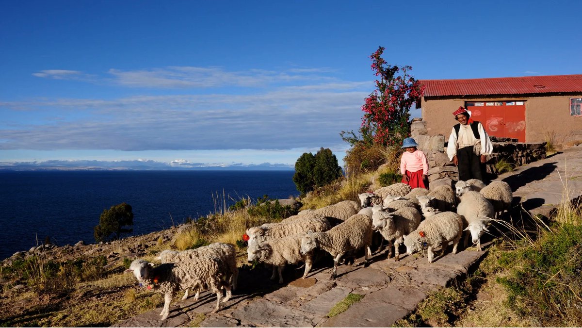 AmericasPartner's tweet image. Are your clients wishing to visit Perú? Why not recommend community-based tourism in the Colca Valley!
For more information on this type of holiday please contact our DMC partner Vipac Travel at mjara@vipac.travel
#perutravels #sibayo #colcavalley #homestay
#communitybasedtourism