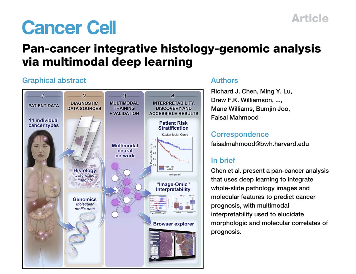 Faisal Mahmood (@ai4pathology) on Twitter photo Excited to share our <a href="/Cancer_Cell/">Cancer Cell</a> article presenting a pan-cancer integrative histology-genomic analysis, multimodal integration improves prognostic models, discovers molecular & morphologic correlates of prognosis. bit.ly/3PbnUVM
<a href="/harvardmed/">Harvard Medical School</a> <a href="/BWHPath/">Brigham and Women's Pathology</a> <a href="/broadinstitute/">Broad Institute</a> 1/2 Excited to share our <a href="/Cancer_Cell/">Cancer Cell</a> article presenting a pan-cancer integrative histology-genomic analysis, multimodal integration improves prognostic models, discovers molecular & morphologic correlates of prognosis. bit.ly/3PbnUVM
<a href="/harvardmed/">Harvard Medical School</a> <a href="/BWHPath/">Brigham and Women's Pathology</a> <a href="/broadinstitute/">Broad Institute</a> 1/2