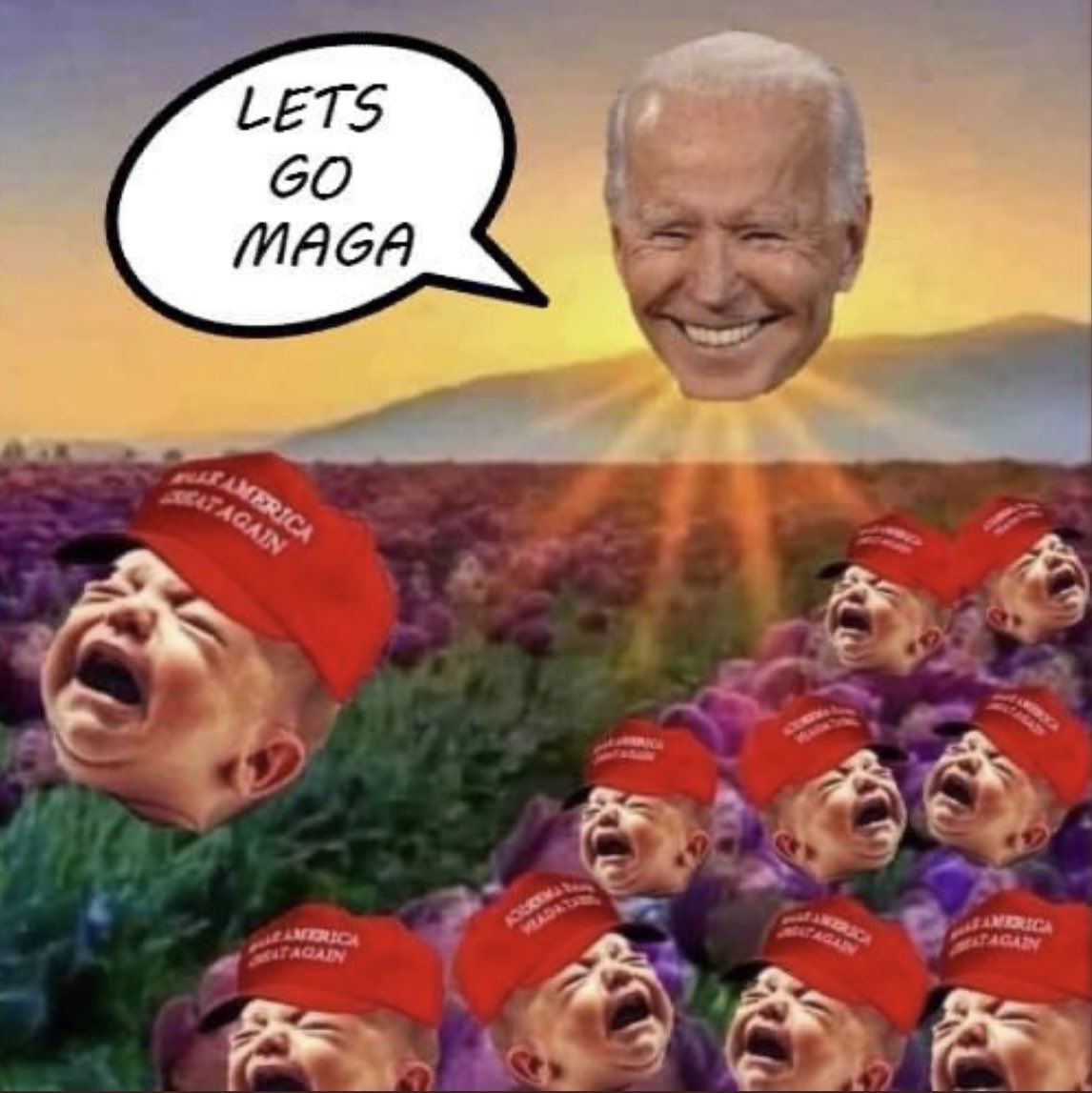 DaveBear71's tweet photo. @catturd2 https://t.co/vctgMPvXFK