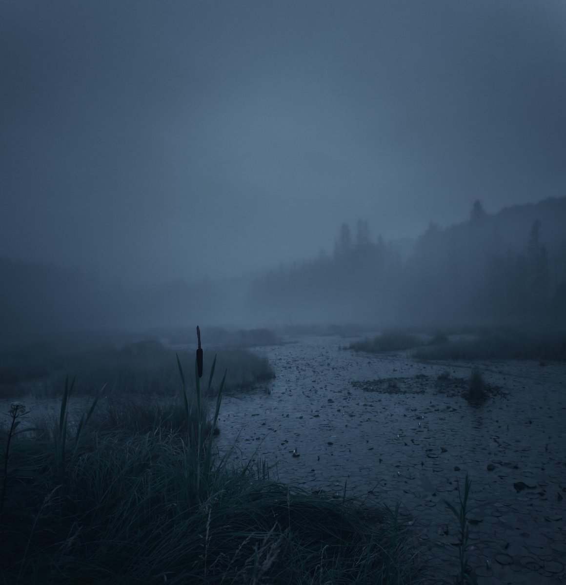 LokiHighlock's tweet image. whispers