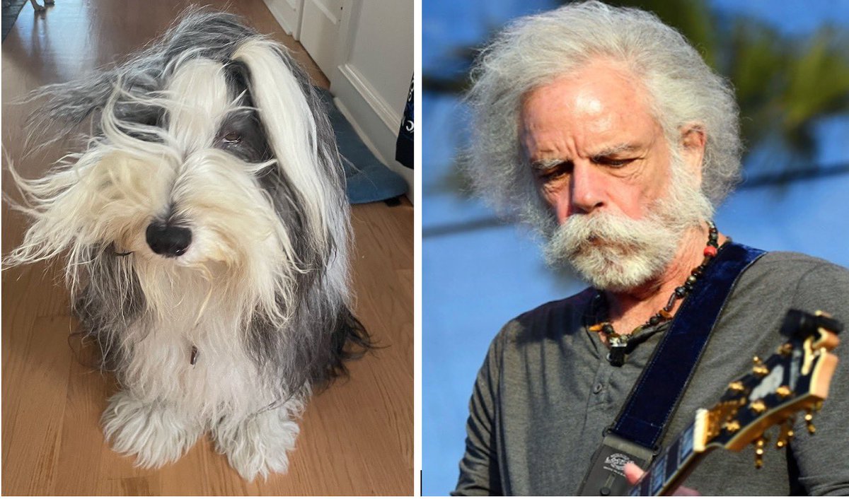 Dog Weir.