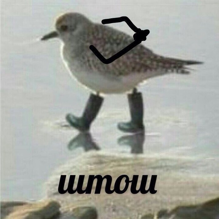 Сёння яшчэ адна сяброўка сказала, што з'язжае. 

Палічыла, што к канцу 2022 у мяне з сяброў у Менску нікога не застанецца