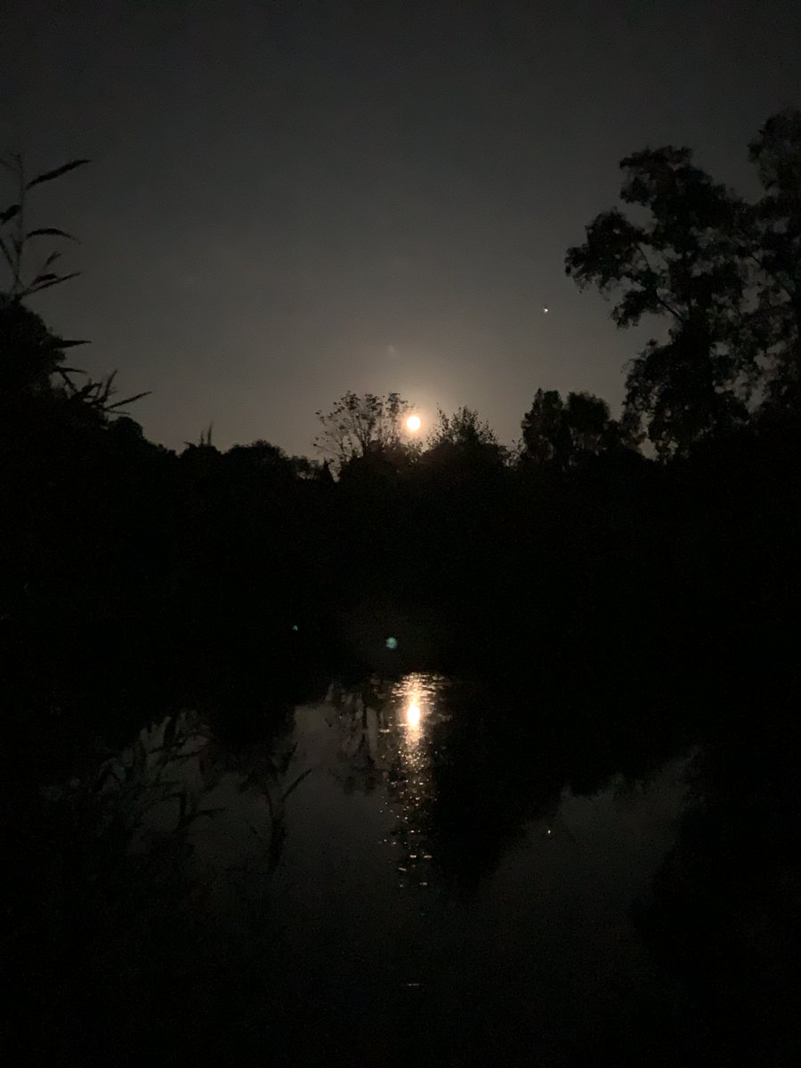 Dip Advisor tweet media