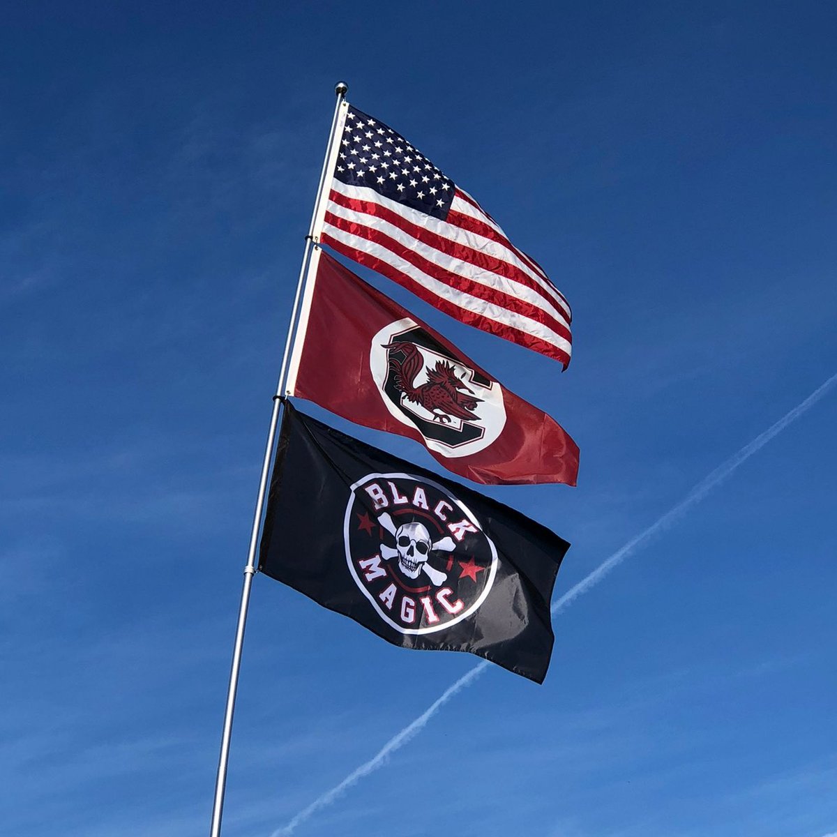 Gamecockology tweet media