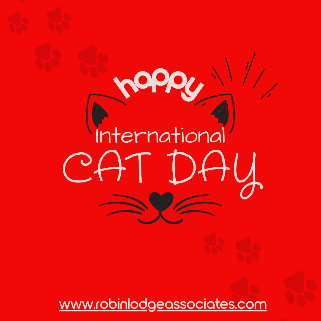 Robin Lodge (@robin_rcla) on Twitter photo 