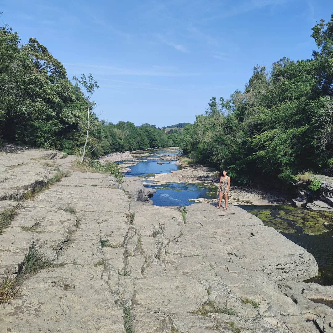 We Drifters tweet media