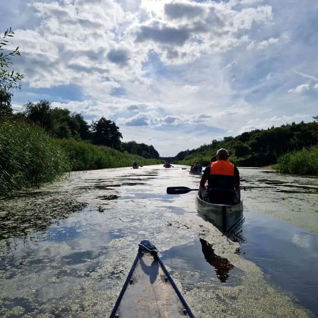 Boswachter_Rob's tweet photo. Gisteravond de laatste kano wildsafari van dit jaar door het Horsterwold. Prachtig weer en genoten van de tocht. De bever liet zich op het eind ook even zien. Genieten.
#kanoën #kano #wildsafari #Staatsbosbeheer #boswachter #excursie #Horsterwold #Zeewolde #bever #beversafari https://t.co/WGKFKDDaOc
