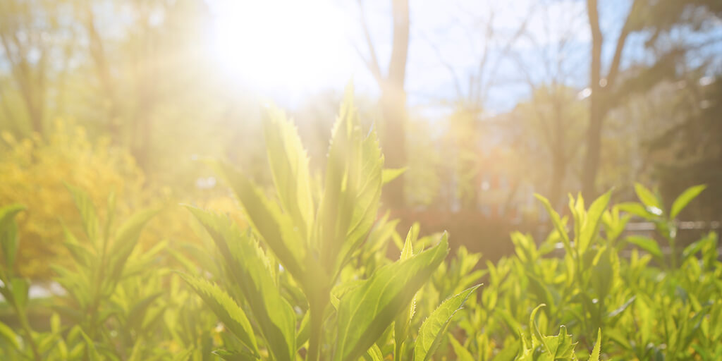 nrgenergy's tweet photo. Turn energy into an advantage. Find out how making savvy energy choices can move your sustainability goals forward from our Director of Sustainability Advisory, @gregkandankulam. https://t.co/744rAtRlpO https://t.co/dLlTKzDswK