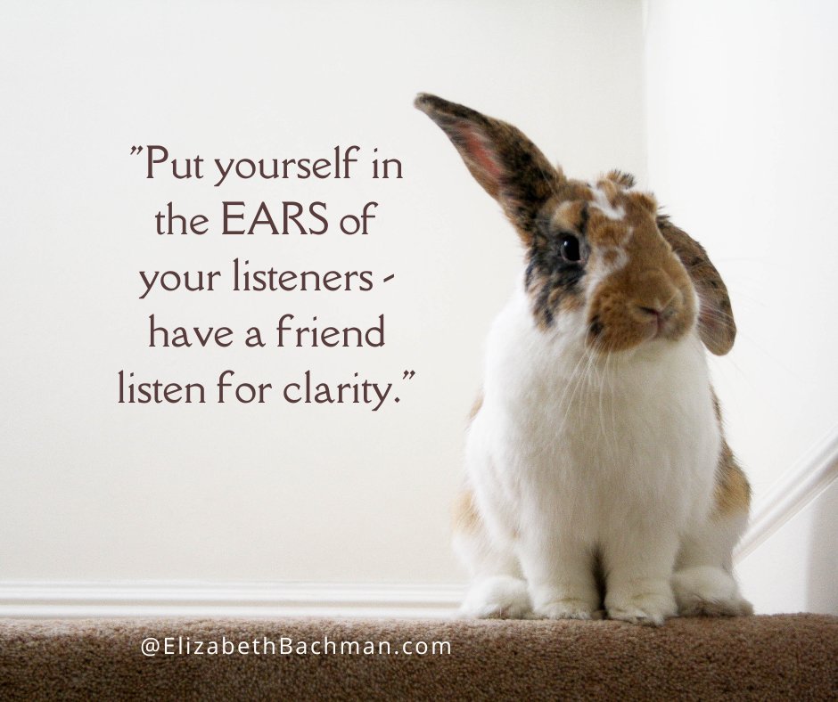 Put yourself in the EARS of your listeners - Have a friend listen for clarity.
For more tips on taking your presentation skills to the next level, visit elizabethbachman.com
#speakertips #presentationskills
