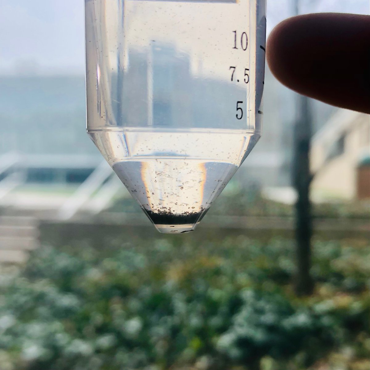 Prof_Van_Stan's tweet photo. Psyched to start a new @NSF #Macrosystems grant measuring #throughfall and #stemflow particles @NEON_sci sites with @egutmann @jlbrahney and (the twitterless) Alex Ponette-González https://t.co/nkzRslxrjD via @CLE_state https://t.co/JJwwQFS2hW