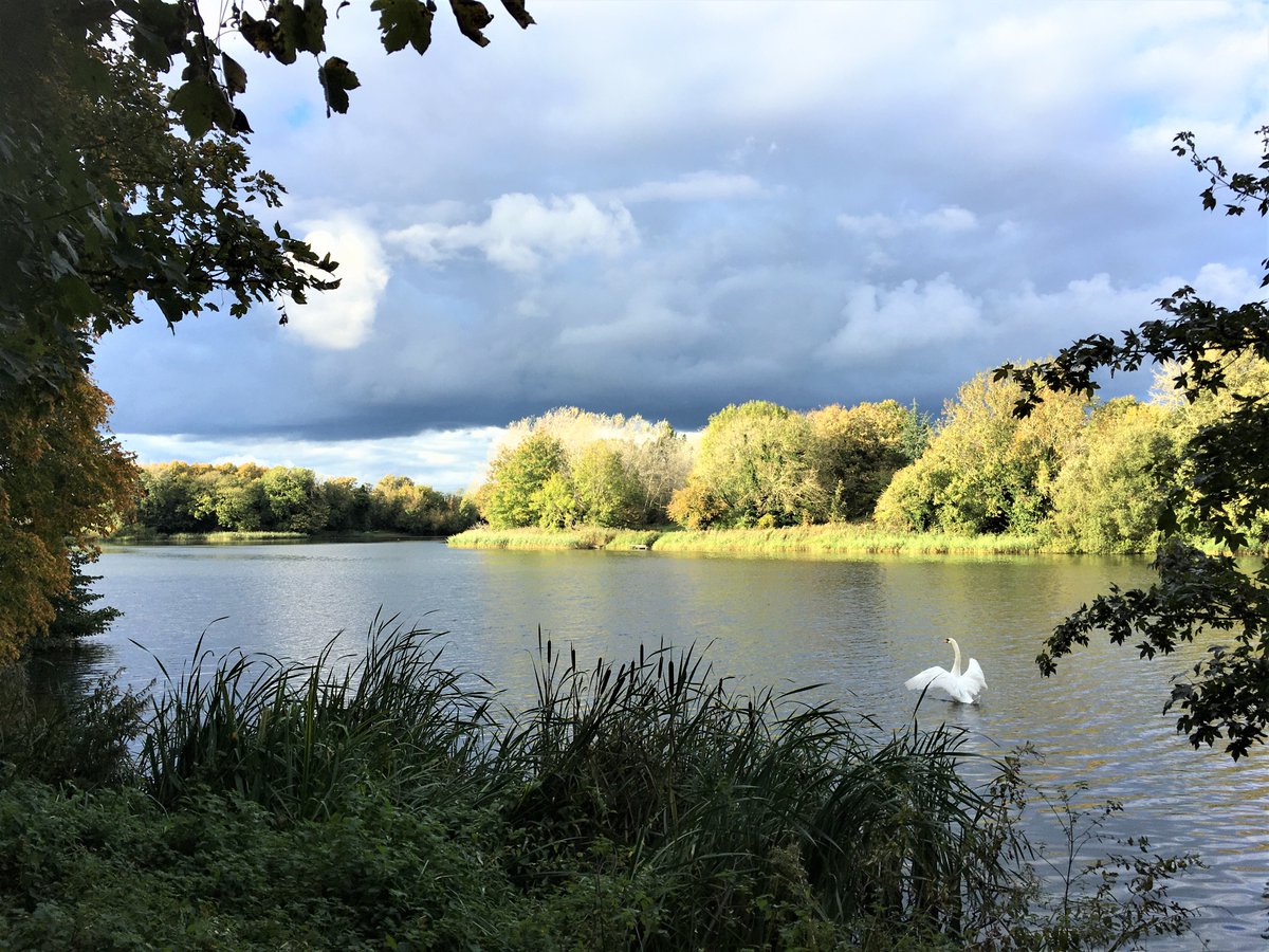 Come and celebrate 200 years of #CoateWater with us this Sunday! 

Join us for #freedrawing beside the reservoir and head to <a href="/RJ_MUSEUM/">The Richard Jefferies Museum</a> to enjoy music &amp; an #ArtonTour exhibition.

Full info about this jam-packed day here - artontour489147035.wordpress.com/talks-and-tour… 

<a href="/visit_swindon/">visitswindon</a> <a href="/We_Are_Swindon/">We Are Swindon</a>