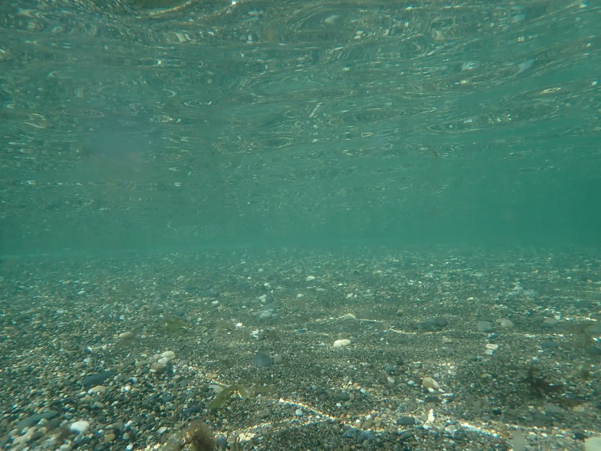 aldom8's tweet image. Swimming pool in #wicklow #Blackcastle #loveswimming