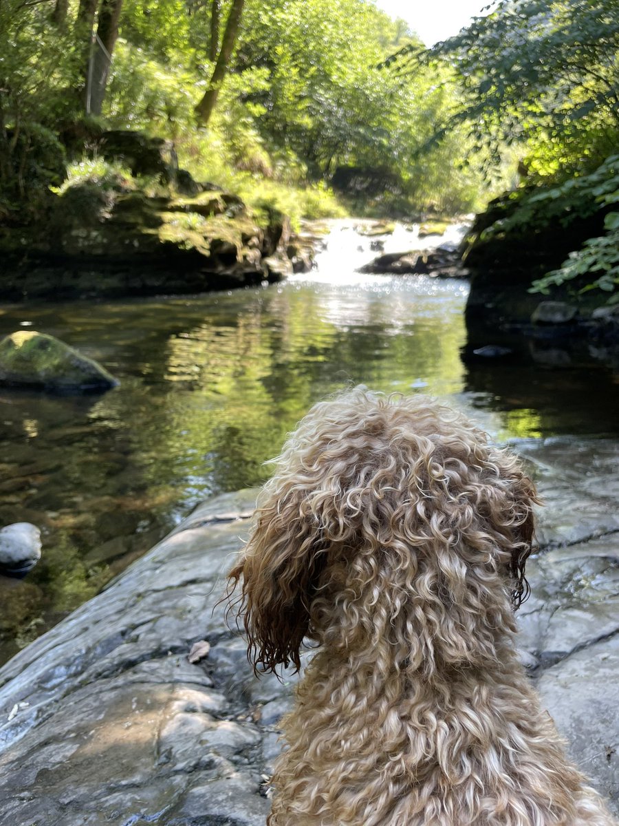 #nursesactive walking and paddling at Watersmeet <a href="/DudleyGroupNHS/">The Dudley Group</a>