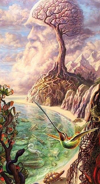 Ancient Wisdom NFTs: V1 SOL Shamans tweet media
