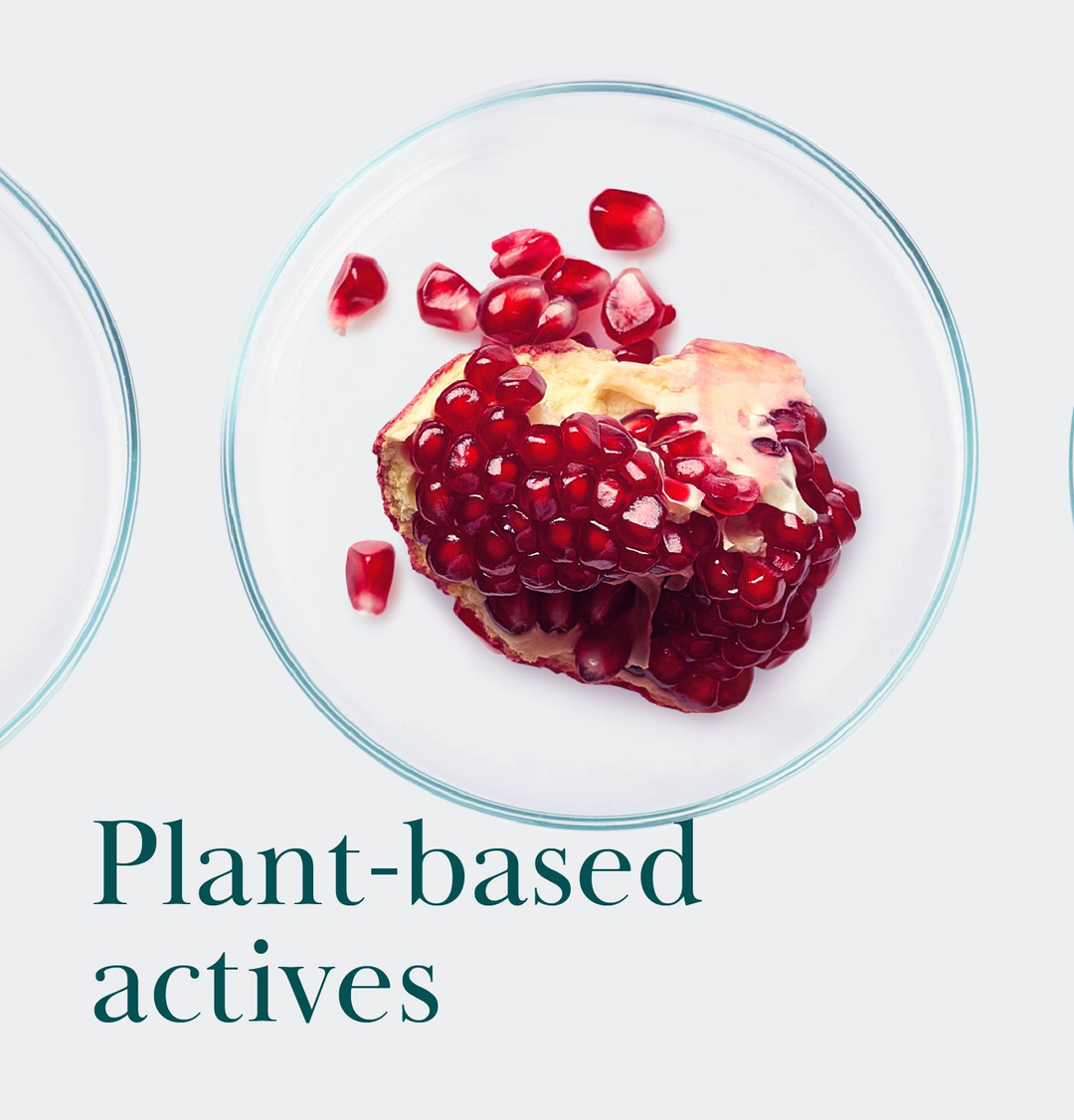 We trust nature, do you? 🌏🌱🌱
You will find plant-based active ingredients in every rour product. 

#rawganic #organicskincare #plasticfreewipes #makeyourskinhappy #organiccottonwipes #organiccotton #biodegradable #compostable #portable #travelessential #holidayessential