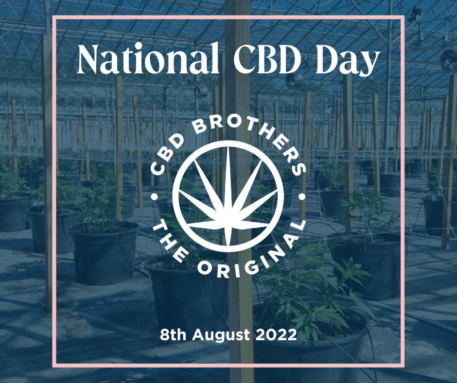 CBD Brothers tweet media