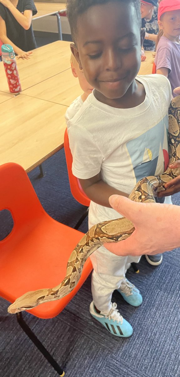 braunstone_cps's tweet photo. We had another fabulous day with Stuart! Thank you so much for bringing your ‘beasts’ in and educating the children and Mr. T who was also captivated by the friends! @MeetTheBeasts @HalilMrT4Real https://t.co/mCAsxM8lEg
