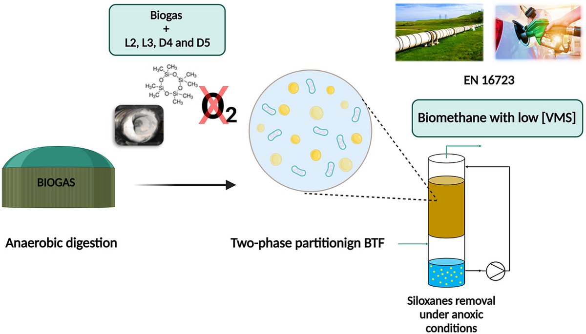 VOC_Odours's tweet photo. New paper accepted in Journal of Cleaner Production
Take a look at:
Innovative polishing stage in biogas upgrading: Siloxanes abatement in an anoxic two-phase partitioning biotrickling filter
https://t.co/po8QScJWCC https://t.co/oaLUrHQo1E