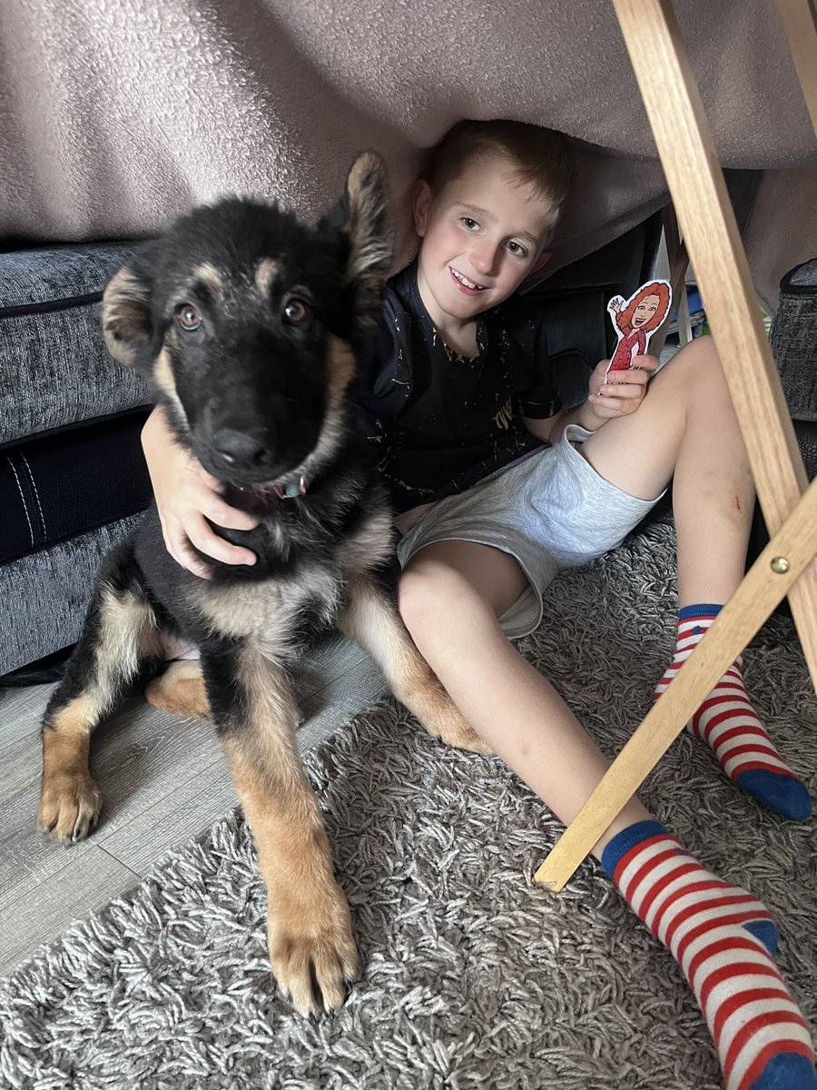 emjacko84's tweet photo. @MissMcReStMarys He’s also got a new puppy this week so he’s got her in the fort with him 🐾🐶 https://t.co/MPnWiMCcea