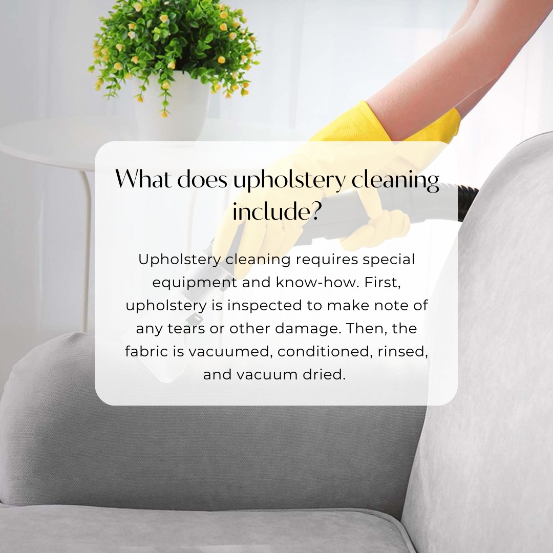 What does upholstery cleaning include?

#upholsterycleaning